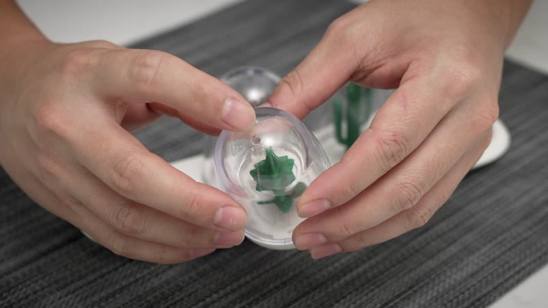 Set of 4 Plant Seasoning Shaker