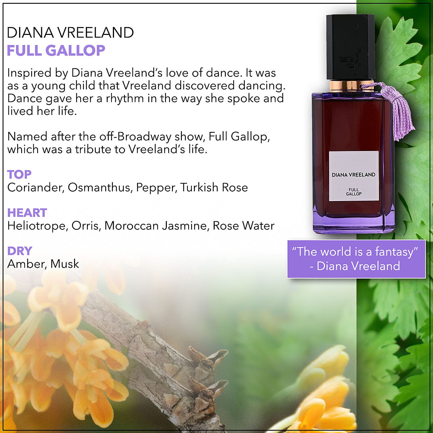 Amber - Product card gallery slide 3 (9431145021695)