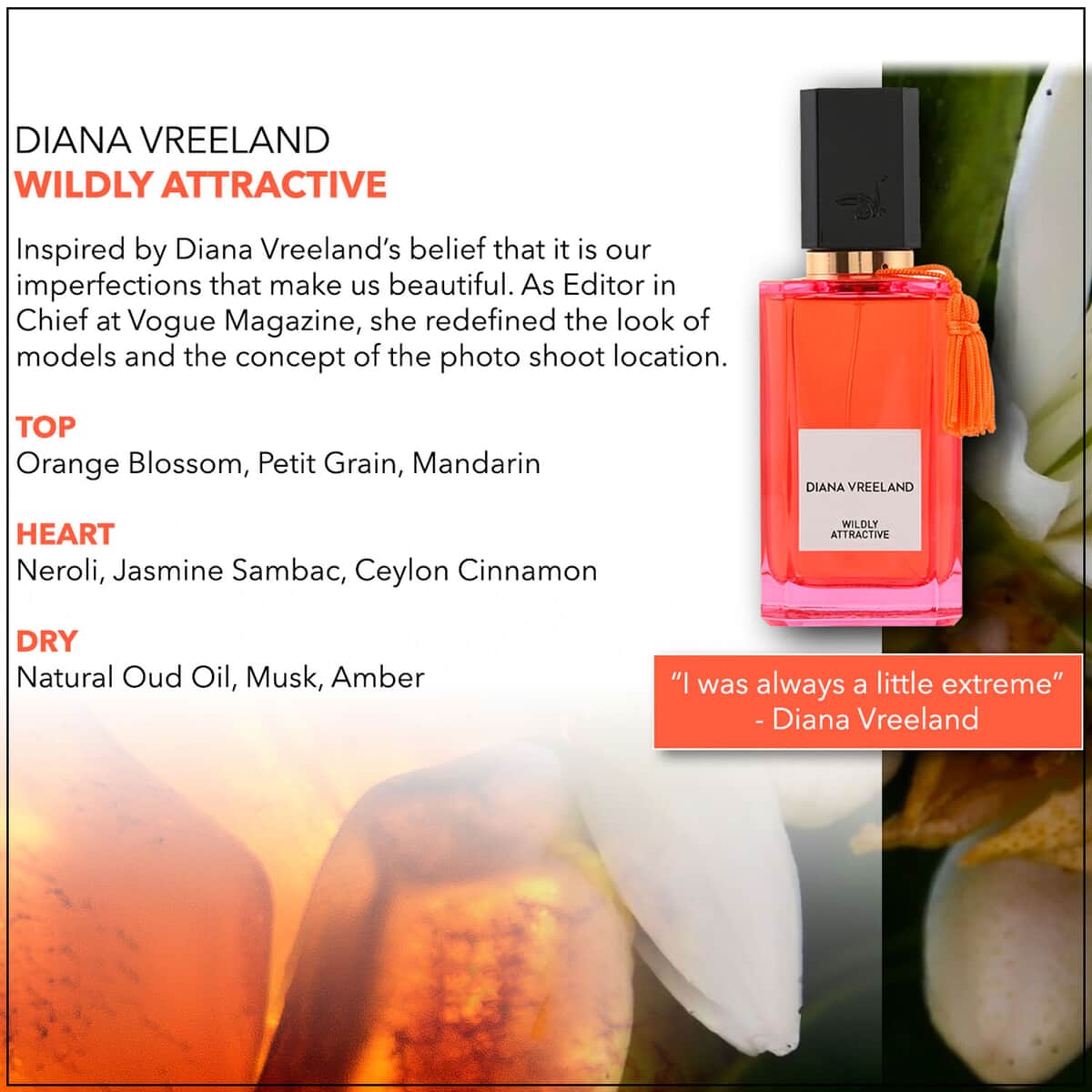 Diana Vreeland Wildly Attractive Eau de Parfum 3.4oz/100ML image number 2