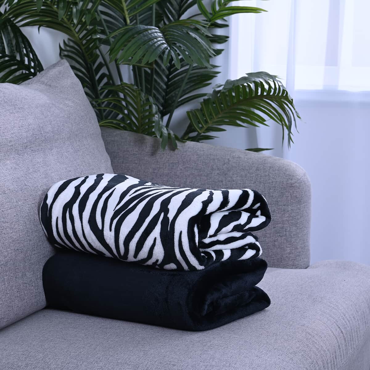 Homesmart Set of 2 Zebra Stripe & Black Solid Pattern Microfiber Flannel Blanket image number 2