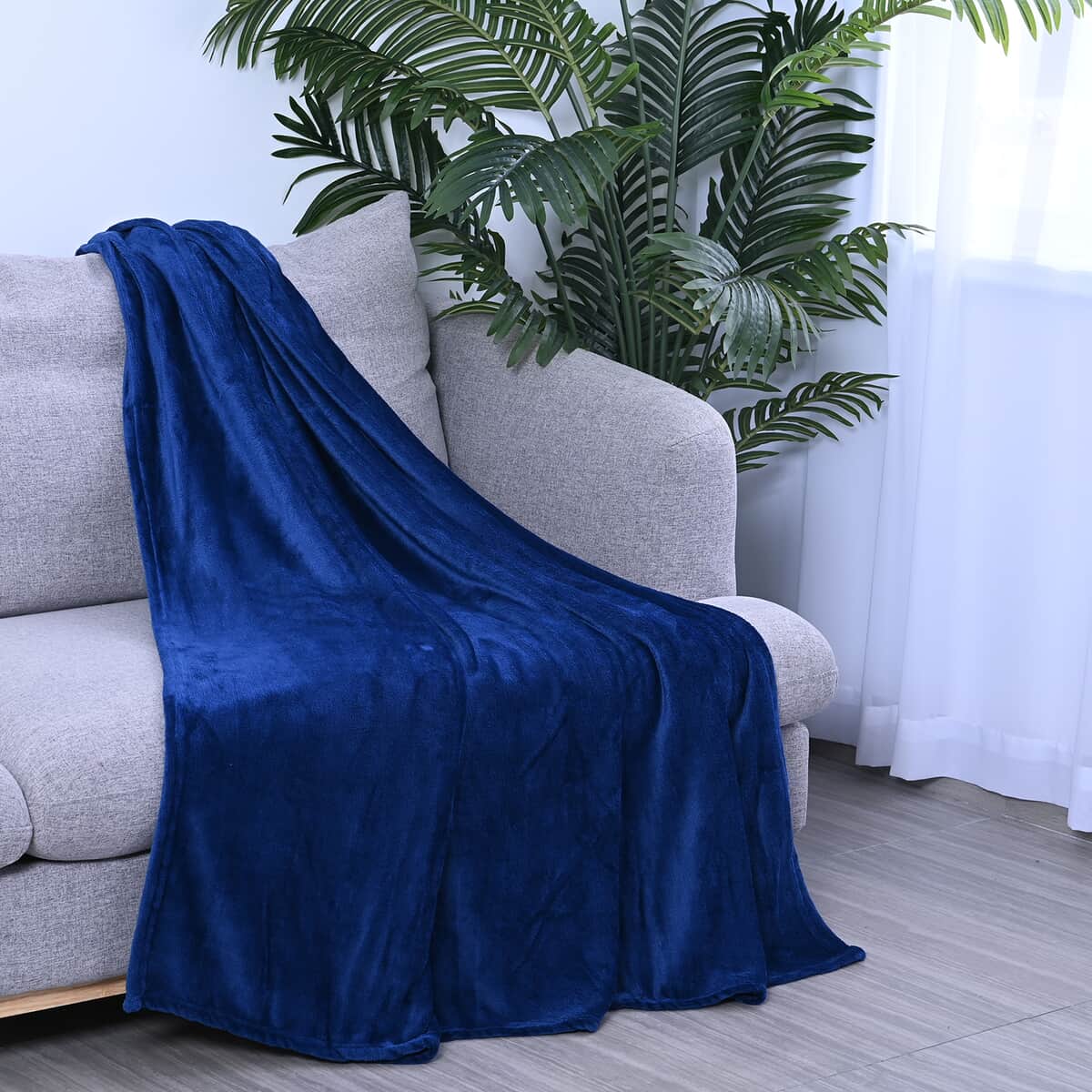 Homesmart Set of 2 Feather Pattern & Blue Solid Pattern Microfiber Flannel Blanket image number 1