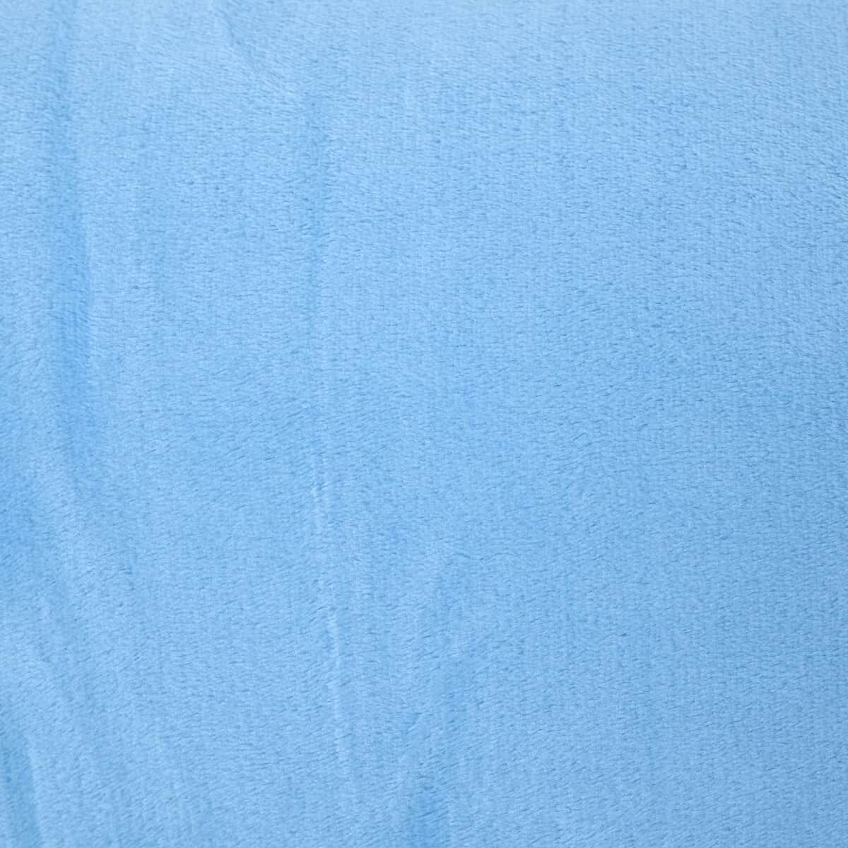 Homesmart Set of 2 Pink Bottom/Flower Pattern & Blue Solid Microfiber Flannel Blanket image number 3