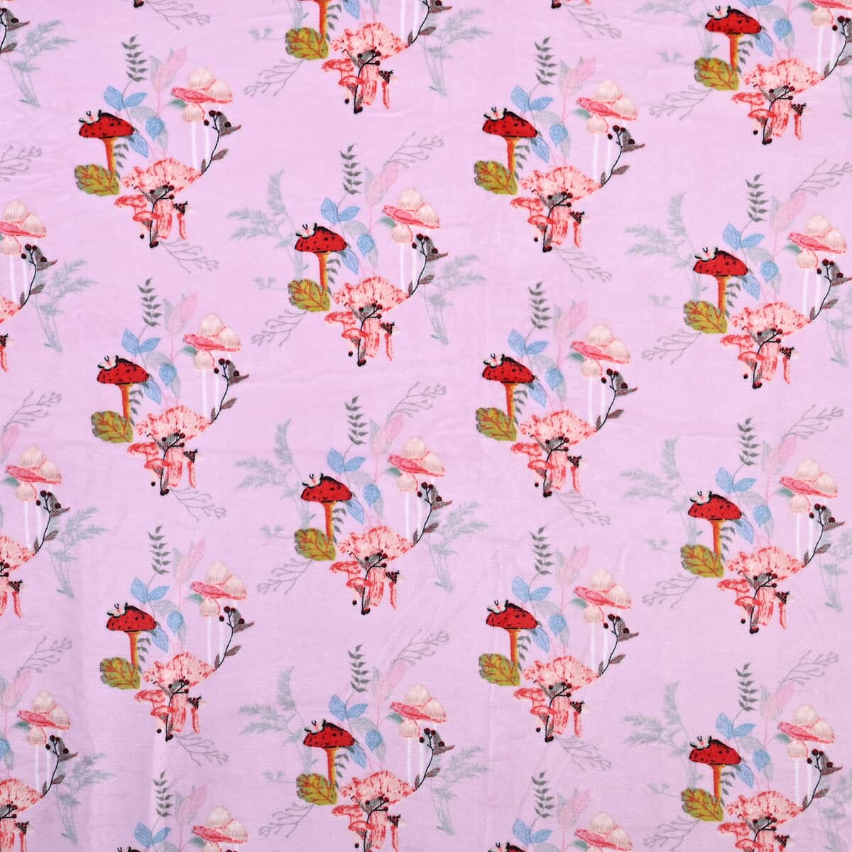Homesmart Set of 2 Pink Bottom/Flower Pattern & Blue Solid Microfiber Flannel Blanket image number 5