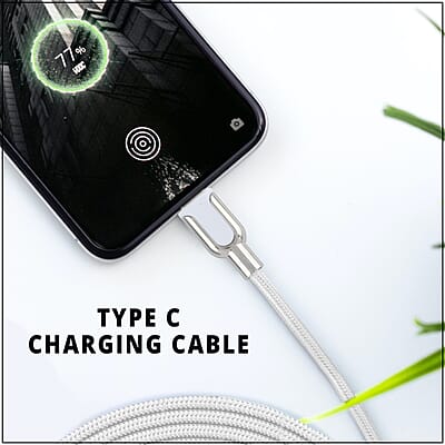 Electric Candy 3 Ft Type C Cable in Silver