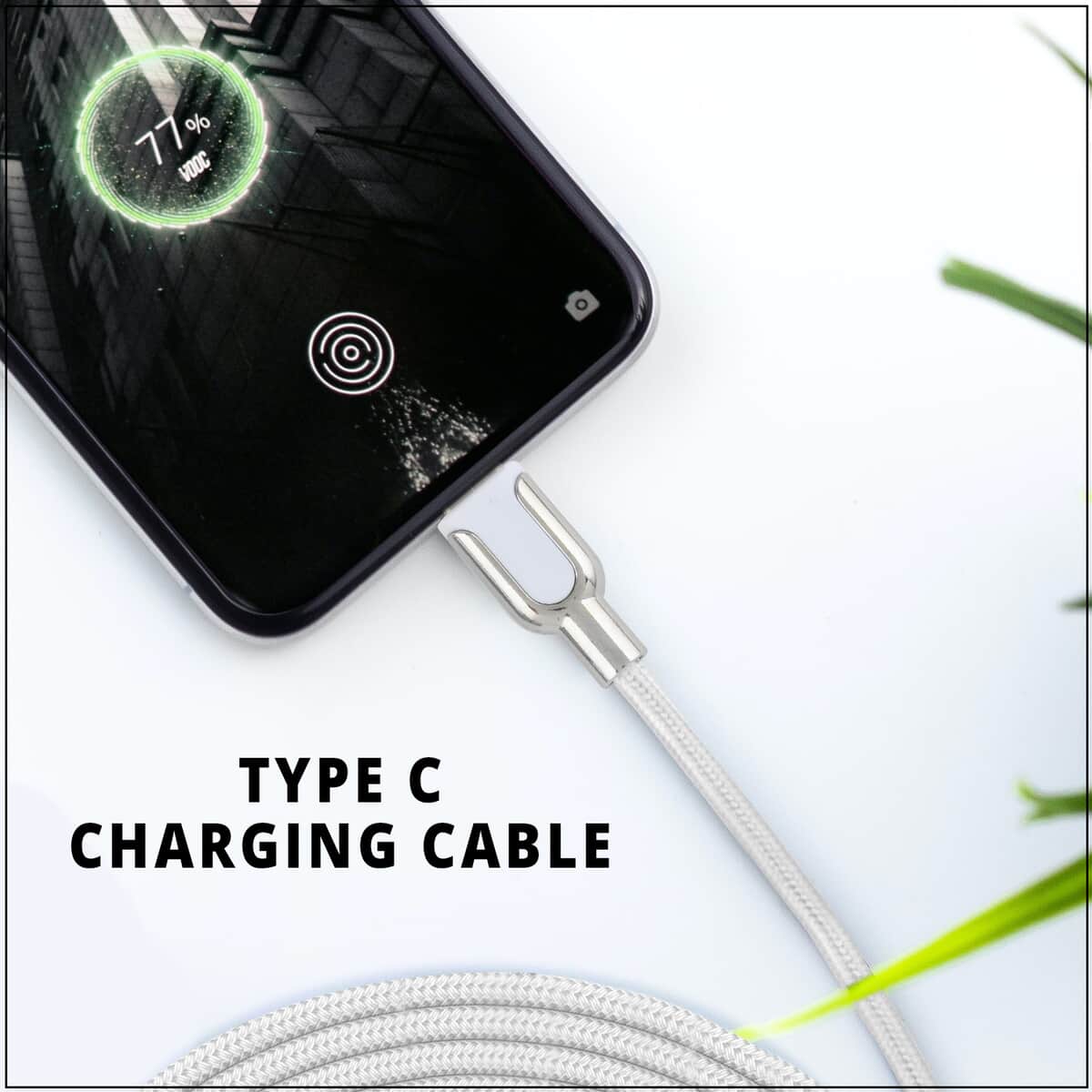 Electric Candy 3 Ft Type C Cable in Silver image number 1