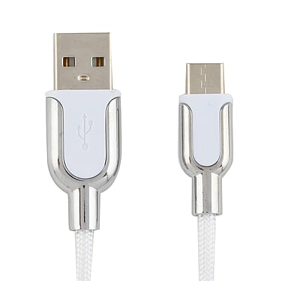 Electric Candy 3 Ft Type C Cable in Silver