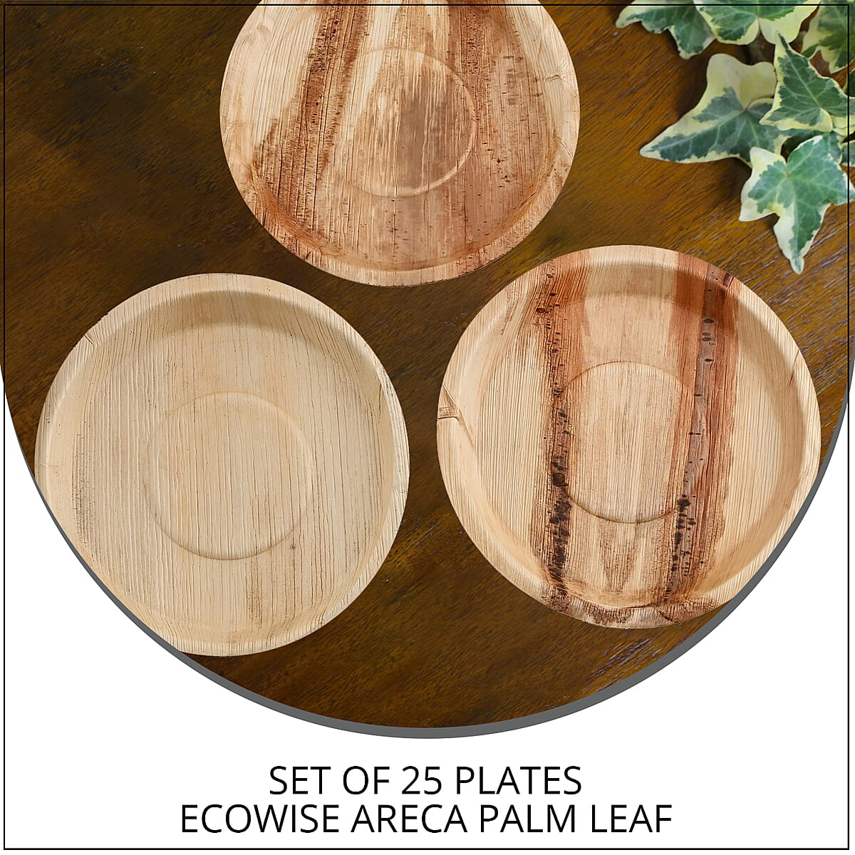 EcoWise Areca Palm Leaf 10 In Round Plate - 25ct. image number 1
