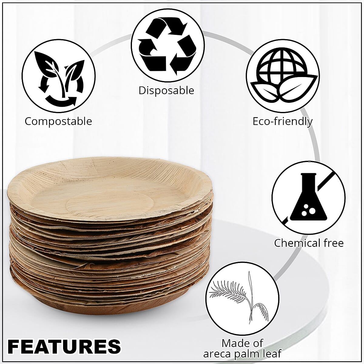 EcoWise Areca Palm Leaf 10 In Round Plate - 25ct. image number 2