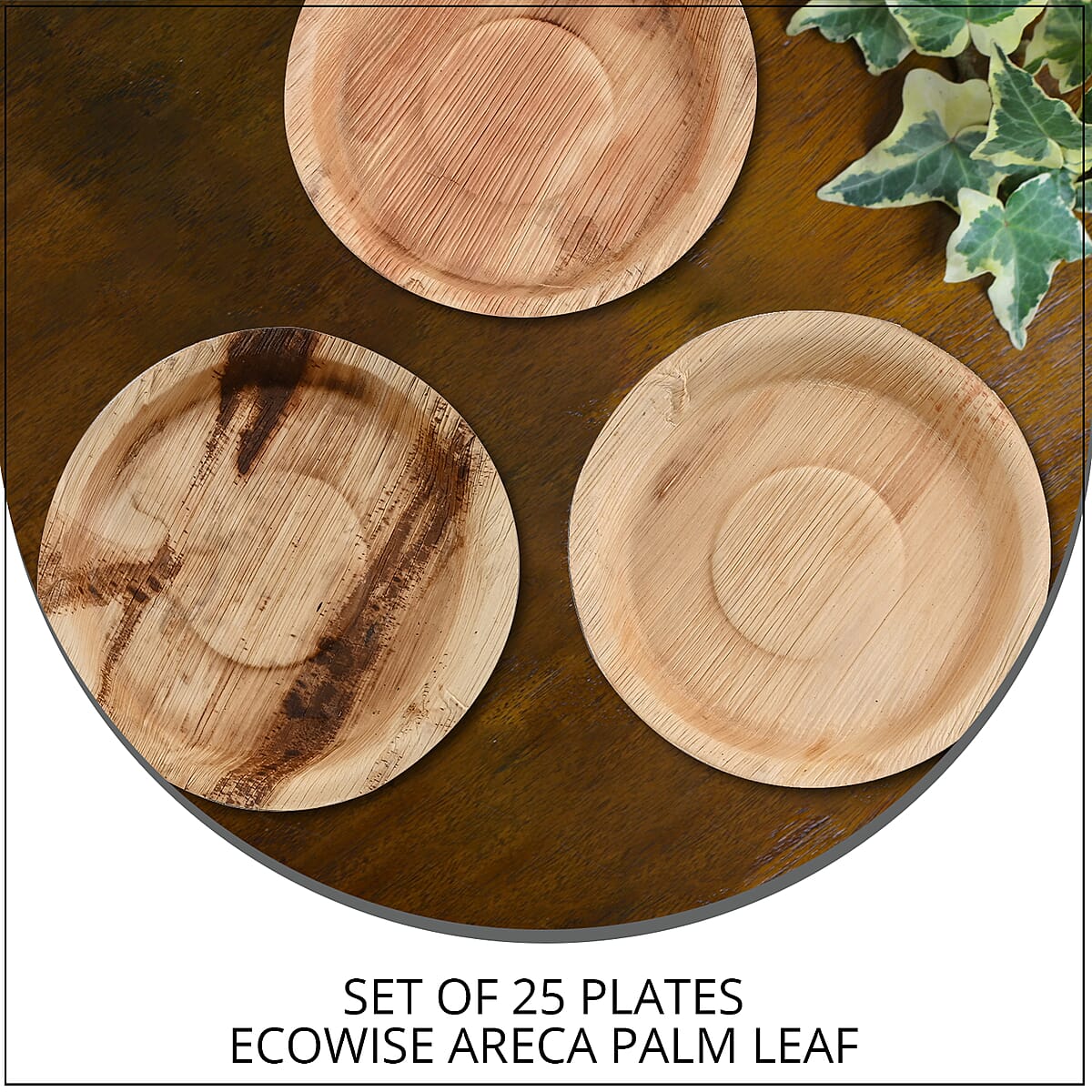 EcoWise Areca Palm Leaf 8" Round Plates - 25ct. image number 1
