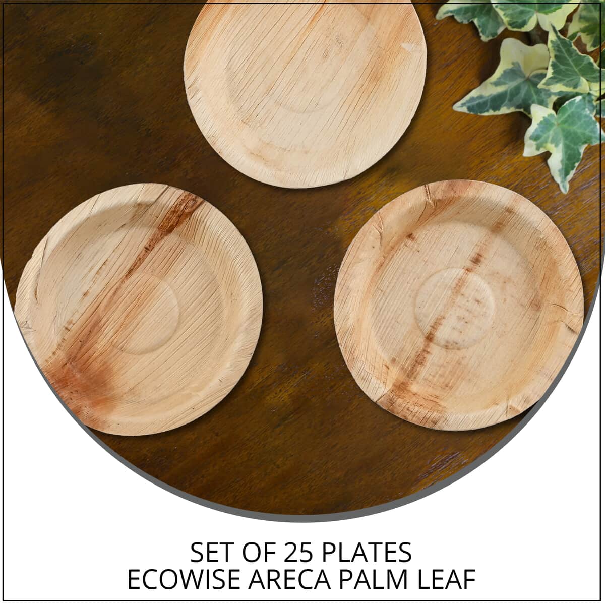 EcoWise Areca Palm Leaf 6" Round Plates - 25ct. image number 1