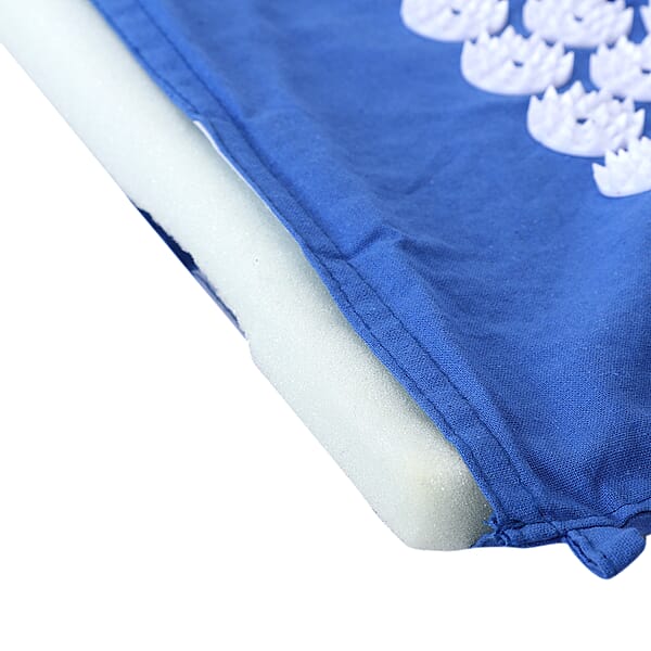 Homesmart Acupressure Mat Blue with Pillow