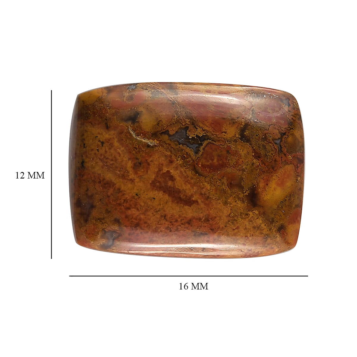 Slice Agate (Cush 16x12 mm) 6.88 ctw image number 3