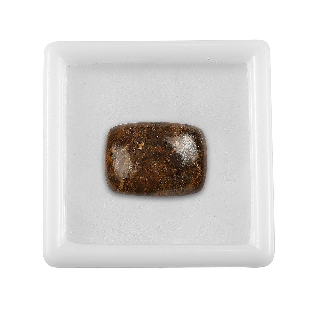 AA Golden Amphibolite (Cush 18x13 mm) 9.80 ctw image number 2