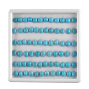 Sleeping Beauty Turquoise Assorted Box, Loose Gemstones For Jewelry Making, Sleeping Beauty Turquoise Gems For Ring Earrings Necklace (Mix Mix Size) 50.00 ctw