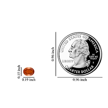 Default Title - Product card gallery slide 4 (10176771522873)