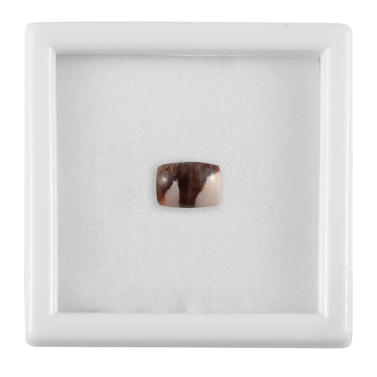 Peanut Wood Jasper (Cush 7x5 mm) 0.86 ctw