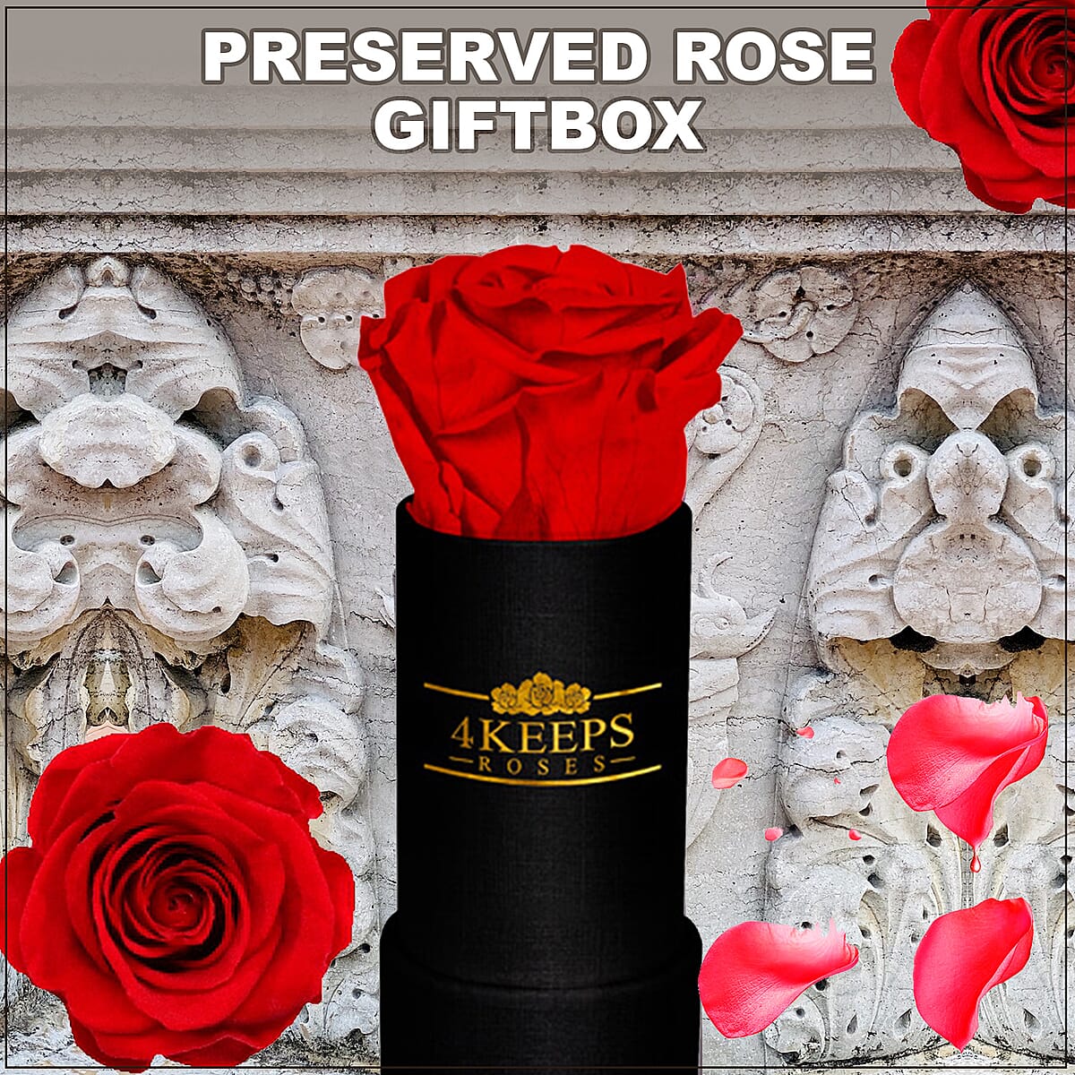 4 Keeps Roses, Real Preserved Red Rose in Black and Gold Giftbox image number 1