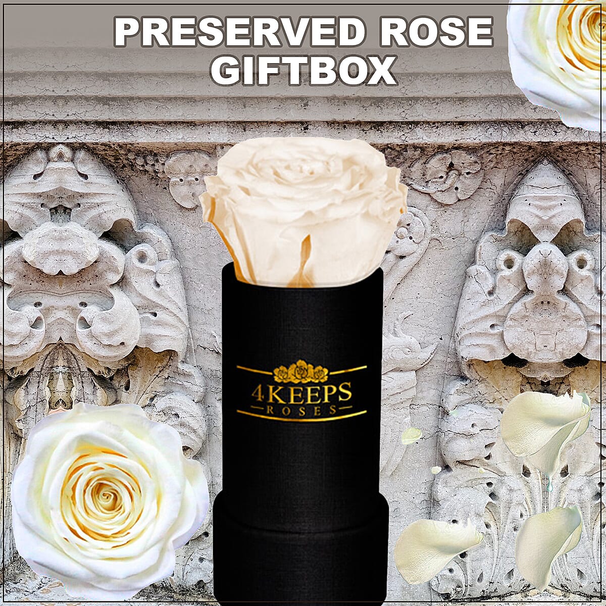 4 Keeps Roses, Real Preserved Snow White Rose in Black and Gold Giftbox image number 1