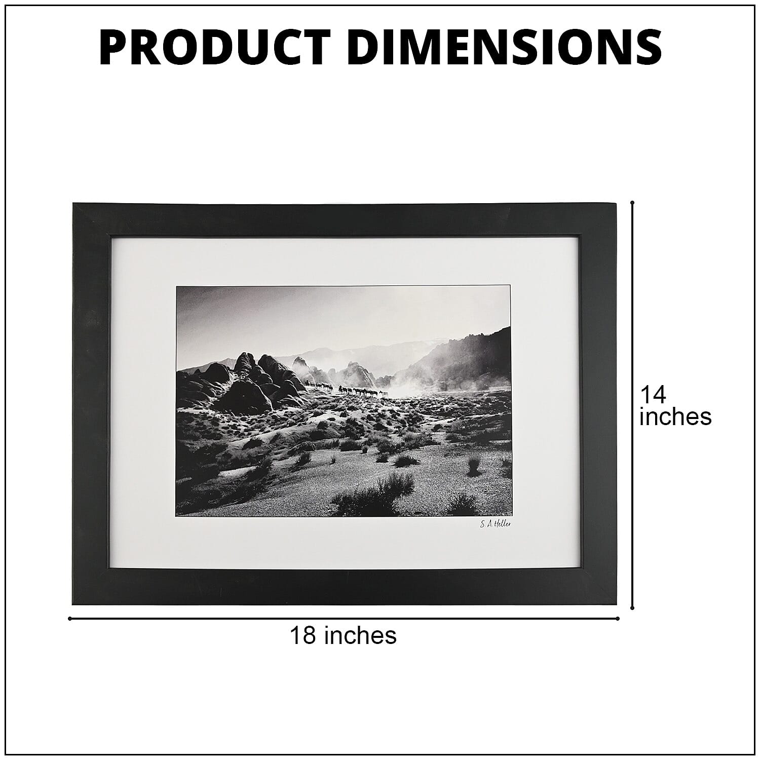 Black and White Horses In The Desert 14x18 framed Print