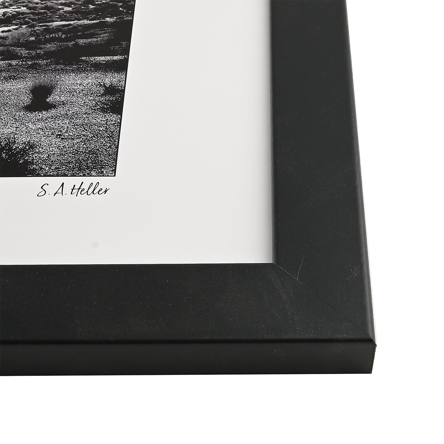 Black and White Horses In The Desert 14x18 framed Print