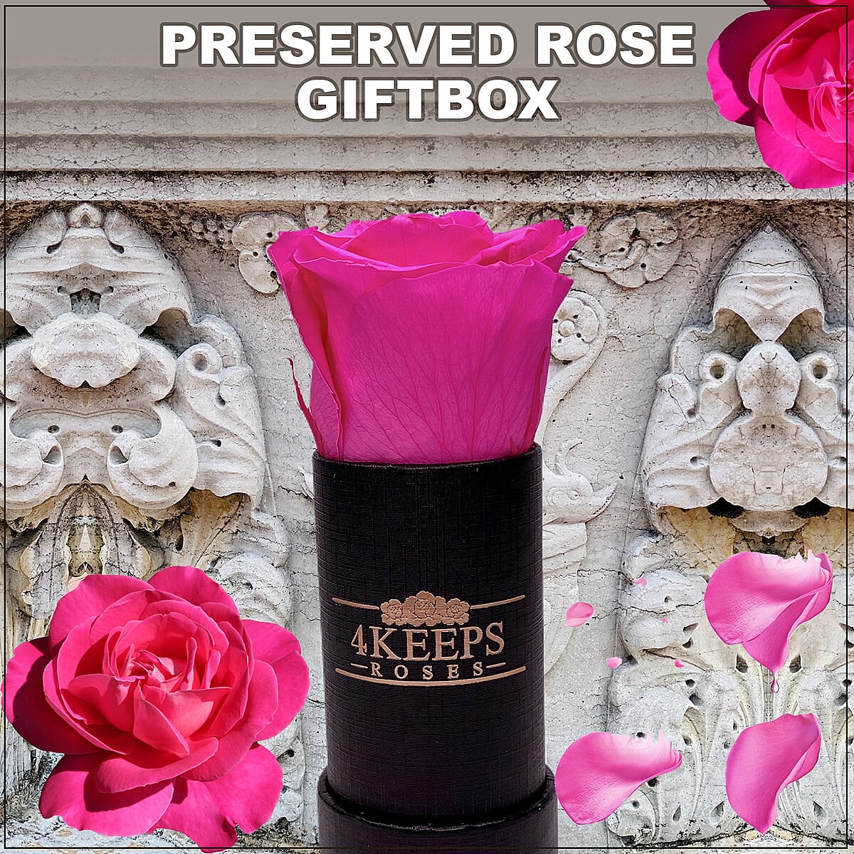 4 Keeps Roses, Real Preserved Hot Pink Rose in Black and Gold Giftbox image number 1