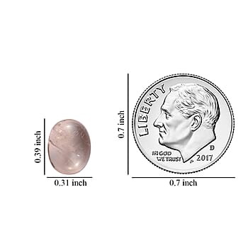 Default Title - Product card gallery slide 3 (9431172514047)
