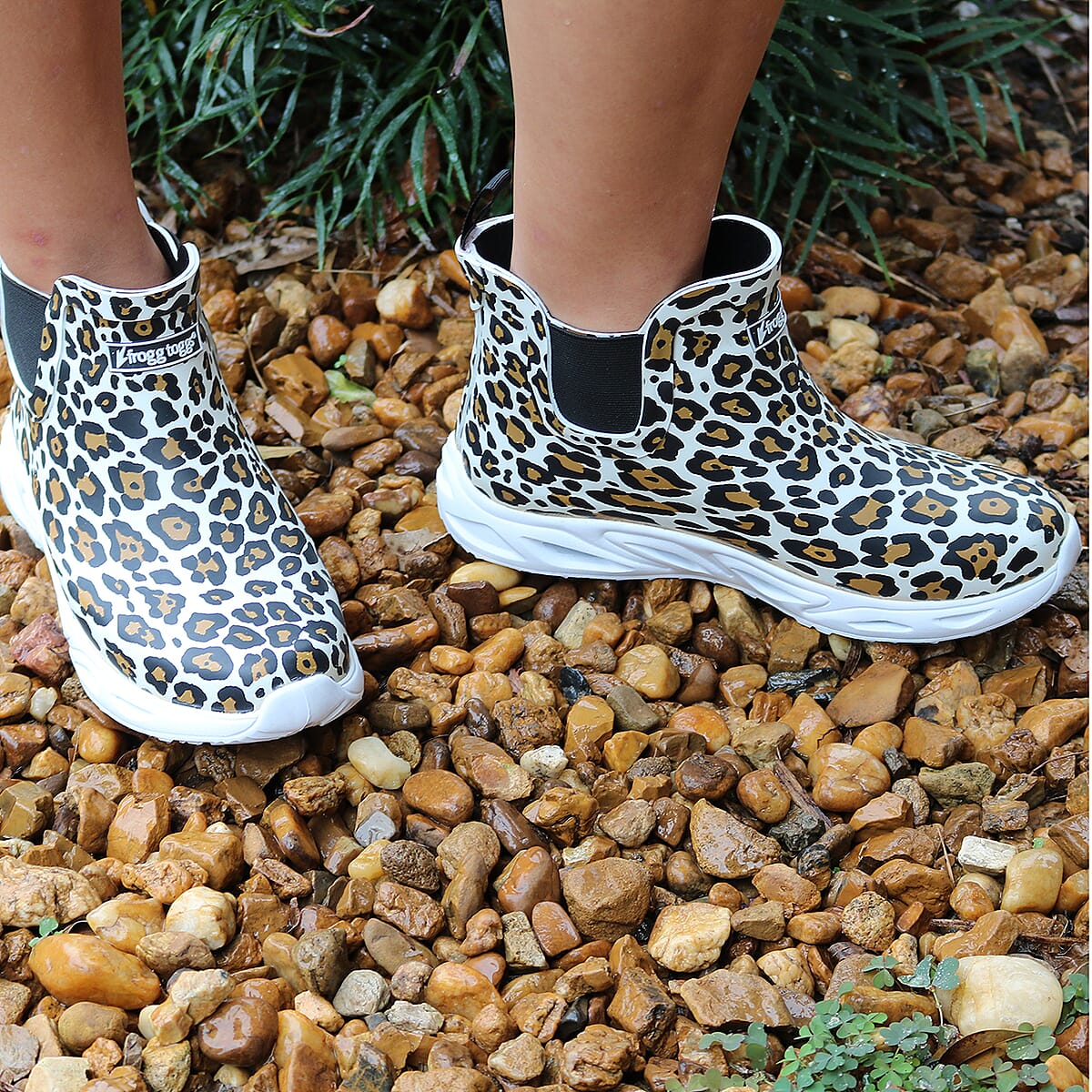 FROGG TOGGS Cheetah Low Cut Splish Splash Rain Boot (Size 9) image number 1