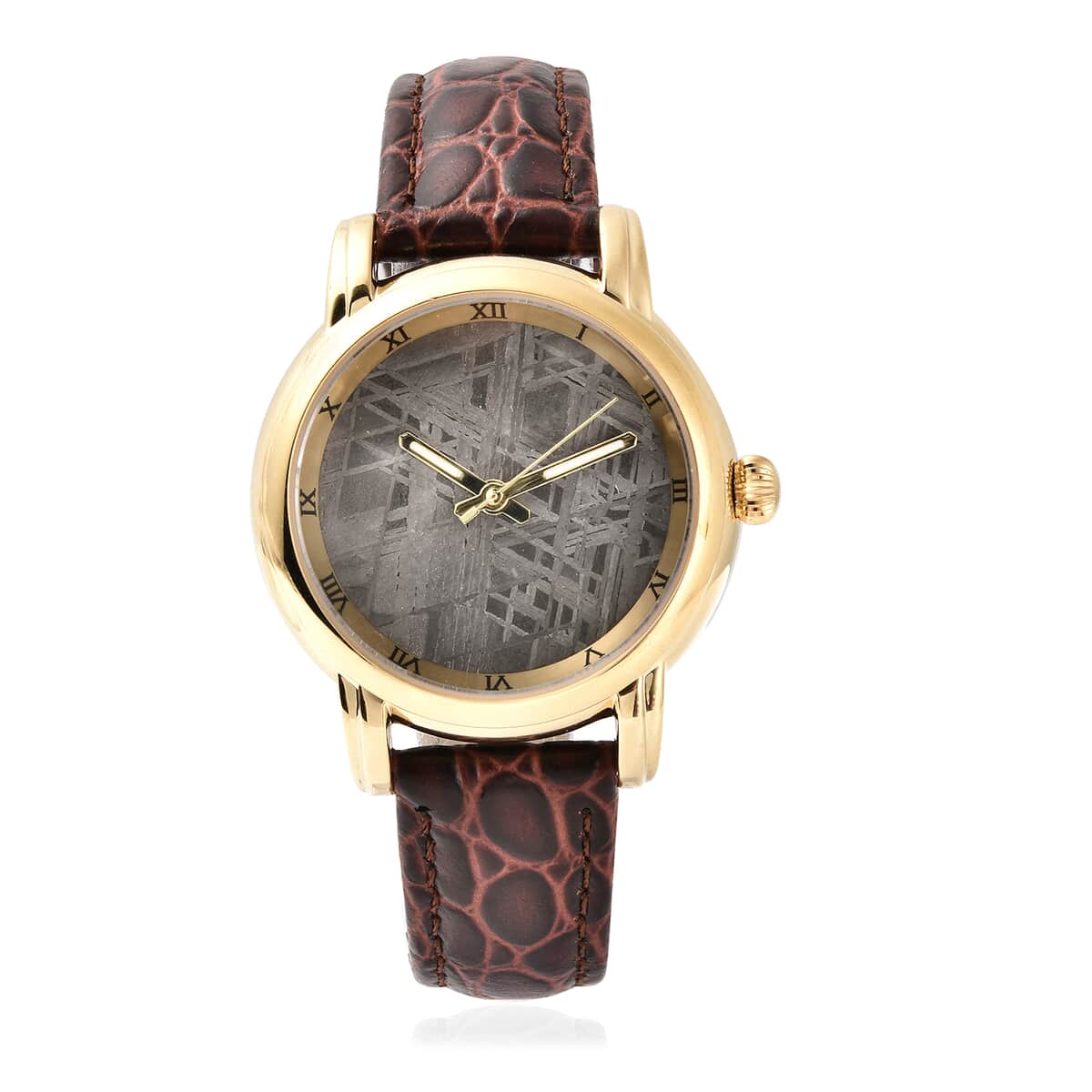 Eon 1962 Swiss Movement Watch with Marvelous Meteorite Dial & Dark Brown Leather Strap, Designer Gemstone Watch, Analog Luxury Wristwatch image number 0