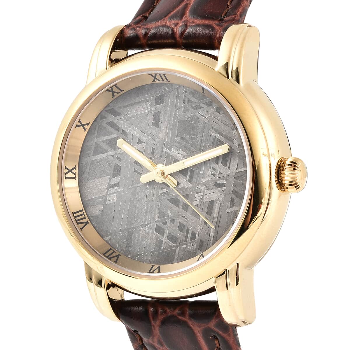 Eon 1962 Swiss Movement Watch with Marvelous Meteorite Dial & Dark Brown Leather Strap, Designer Gemstone Watch, Analog Luxury Wristwatch image number 2