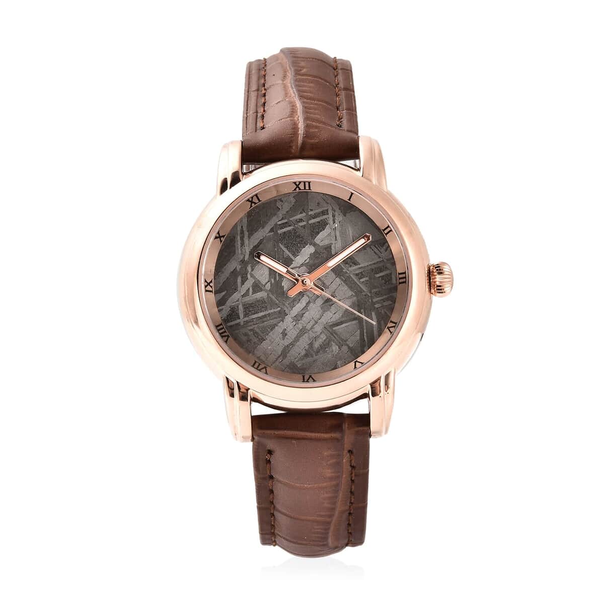 Eon 1962 Swiss Movement Watch with Marvelous Meteorite Dial & Light Brown Leather Strap, Designer Gemstone Watch, Analog Luxury Wristwatch image number 0