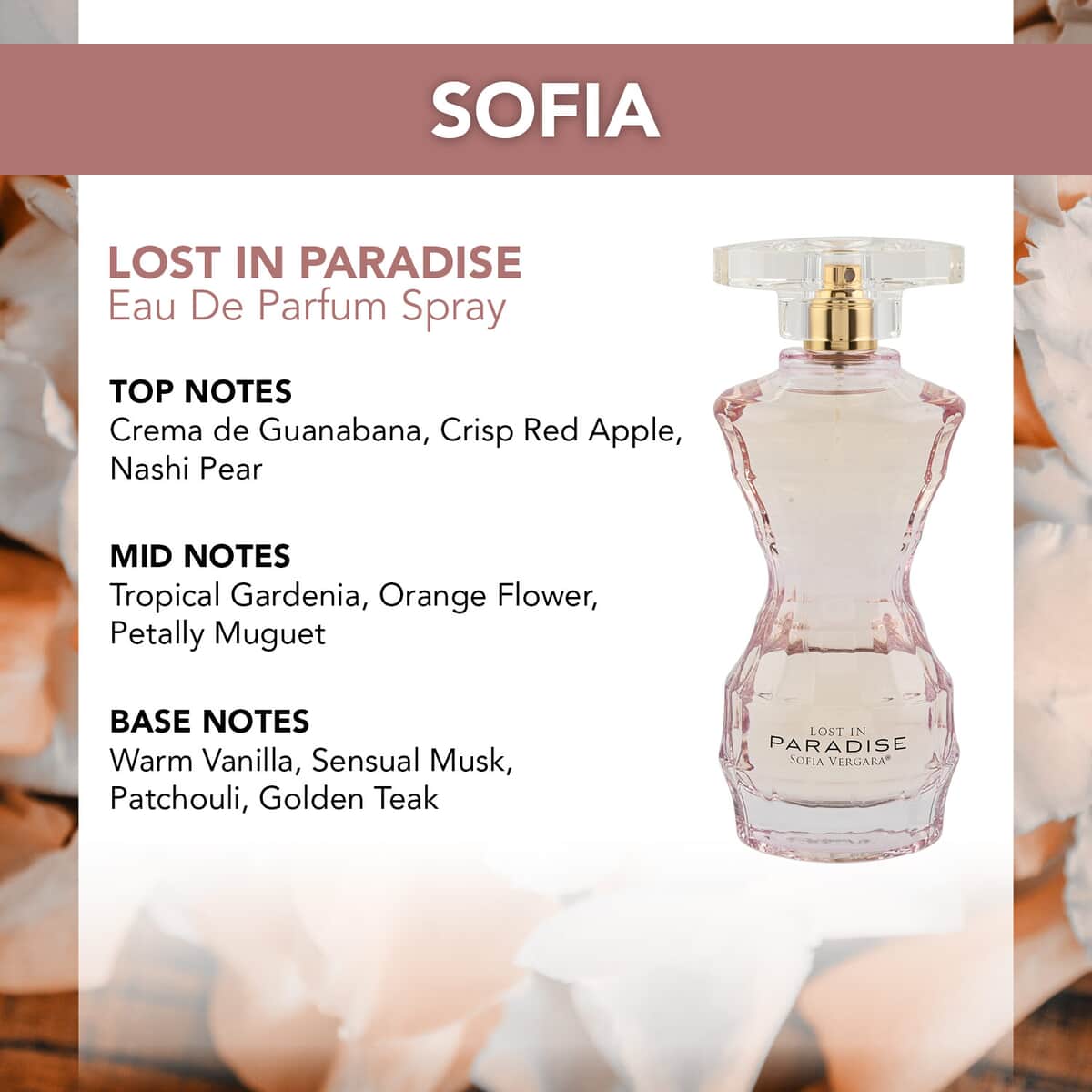 LOST IN PARADISE BY SOFIA Eau De Parfum Spray 3.4 oz, Tropical Citrus Musky Scent | Best Long-Lasting Perfume for Women | Ladies Romance Perfume image number 3