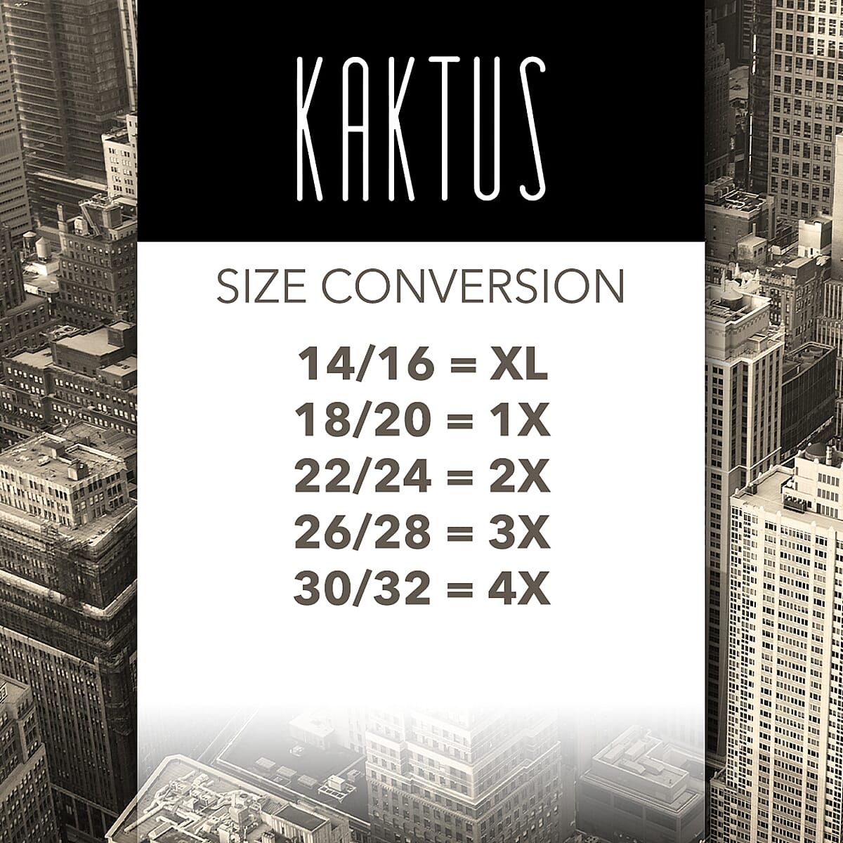 KAKTUS 3/4 Sleeve Split Pea V-Neck Top with Button Detail - Size 2X image number 3