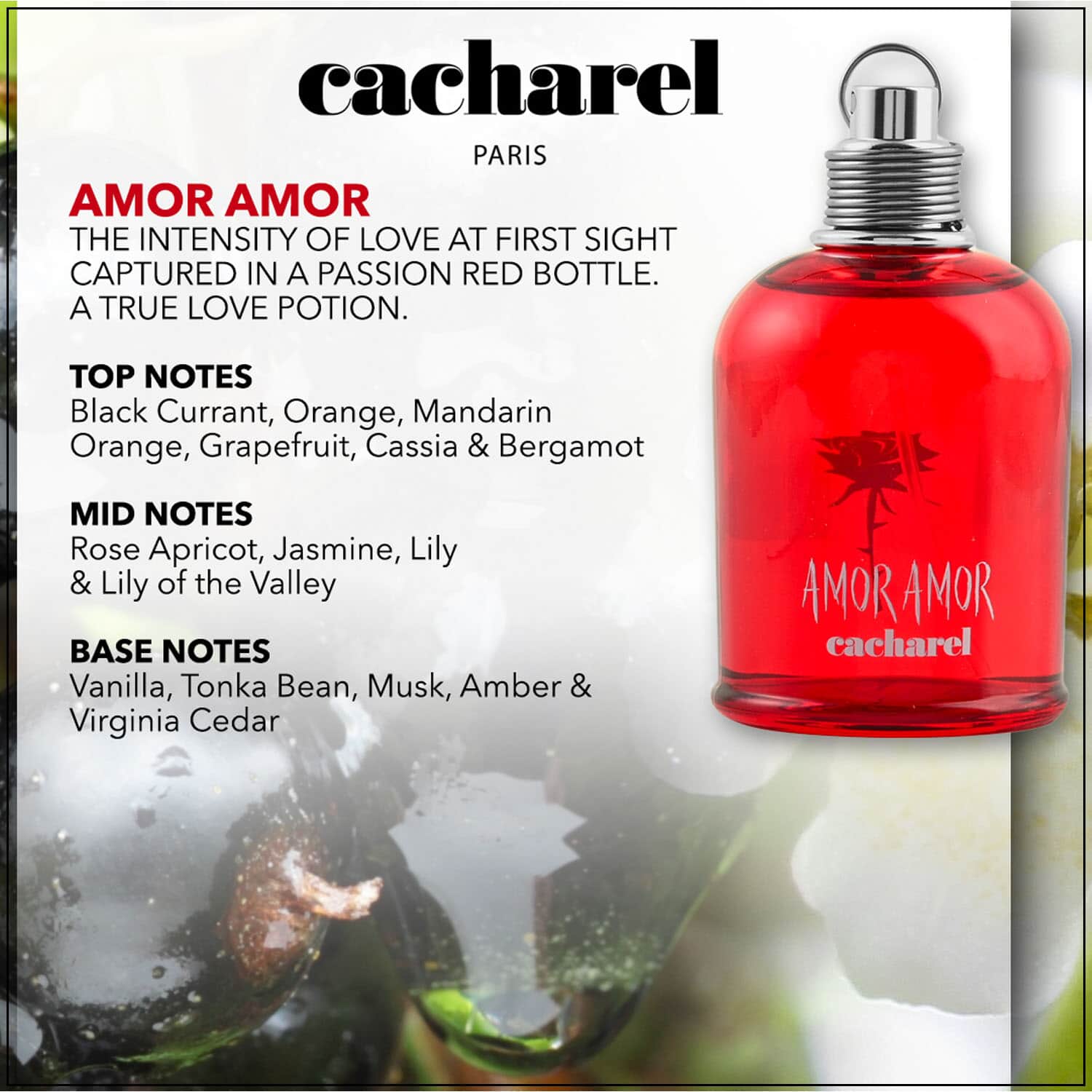 Buy Cacharel Amor Amor Eau De Toilette 3.4 oz with FREE Cosmetic