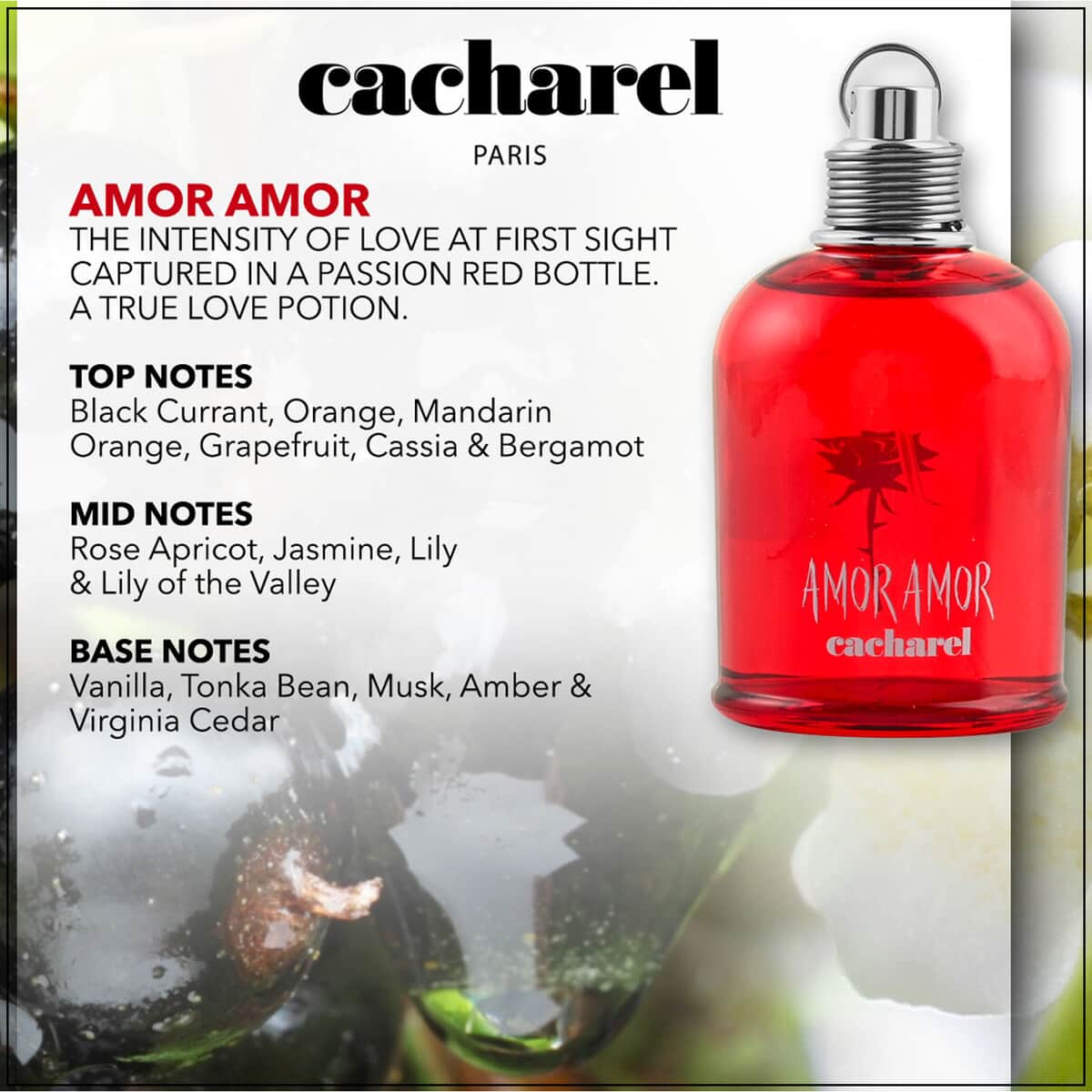 Buy Cacharel Amor Amor Eau De Toilette 3.4 oz with FREE Cosmetic Bag at