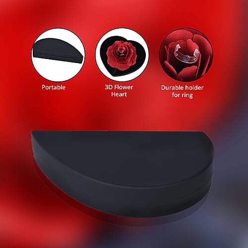 Red & Black - Product card gallery slide 2 (9431170973951)