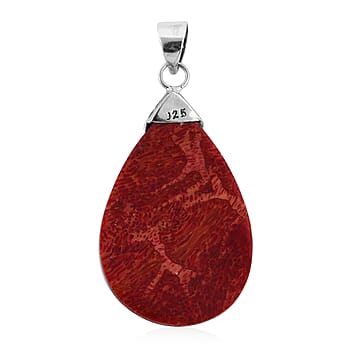 Sponge Coral - Product card gallery slide 4 (10176786301241)