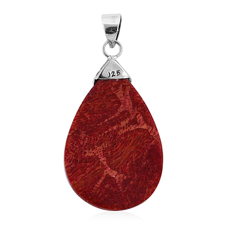 Sponge Coral - Product card gallery slide 4 (10176786301241)