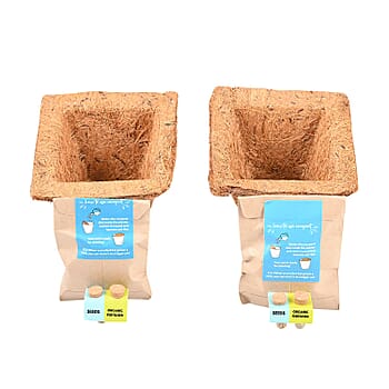 Marigold - Product card gallery slide 1 (9431292182783)