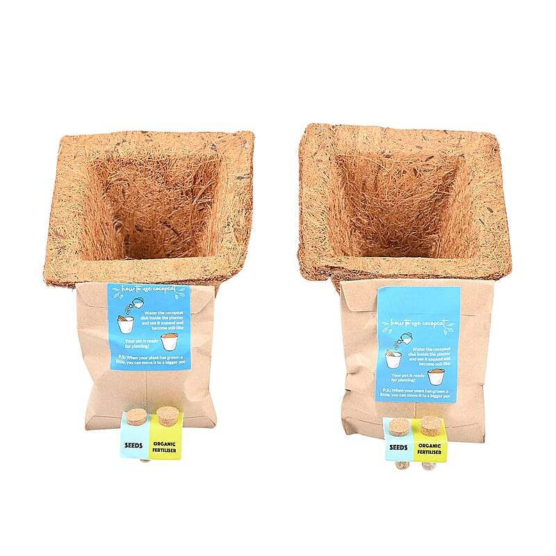 Set of 2 Grow it Yourself Plant Kit Seed Marigold