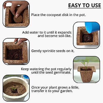Marigold - Product card gallery slide 3 (9431292182783)