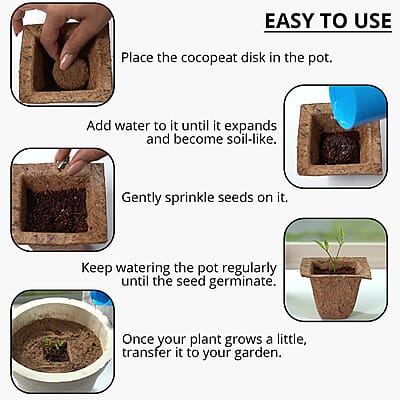 Set of 2 Grow it Yourself Plant Kit Seed Marigold