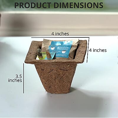 Set of 2 Grow it Yourself Plant Kit Seed Marigold