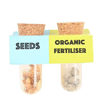 Set of 2 Grow it Yourself Plant Kit Seed Marigold