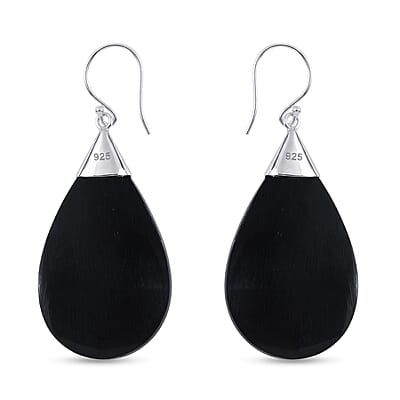 Abalone Shell  Earring  Sterling Silver