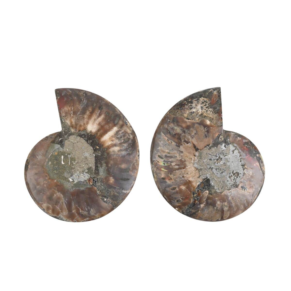 Ammonite Pair 6-7 Approx 8164ctw image number 1
