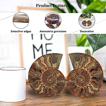 XL - Product card gallery slide 4 (9431387177215)