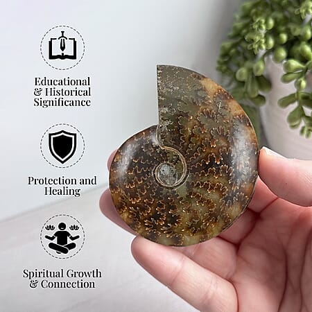 XS - Product card gallery slide 2 (10176791478585)