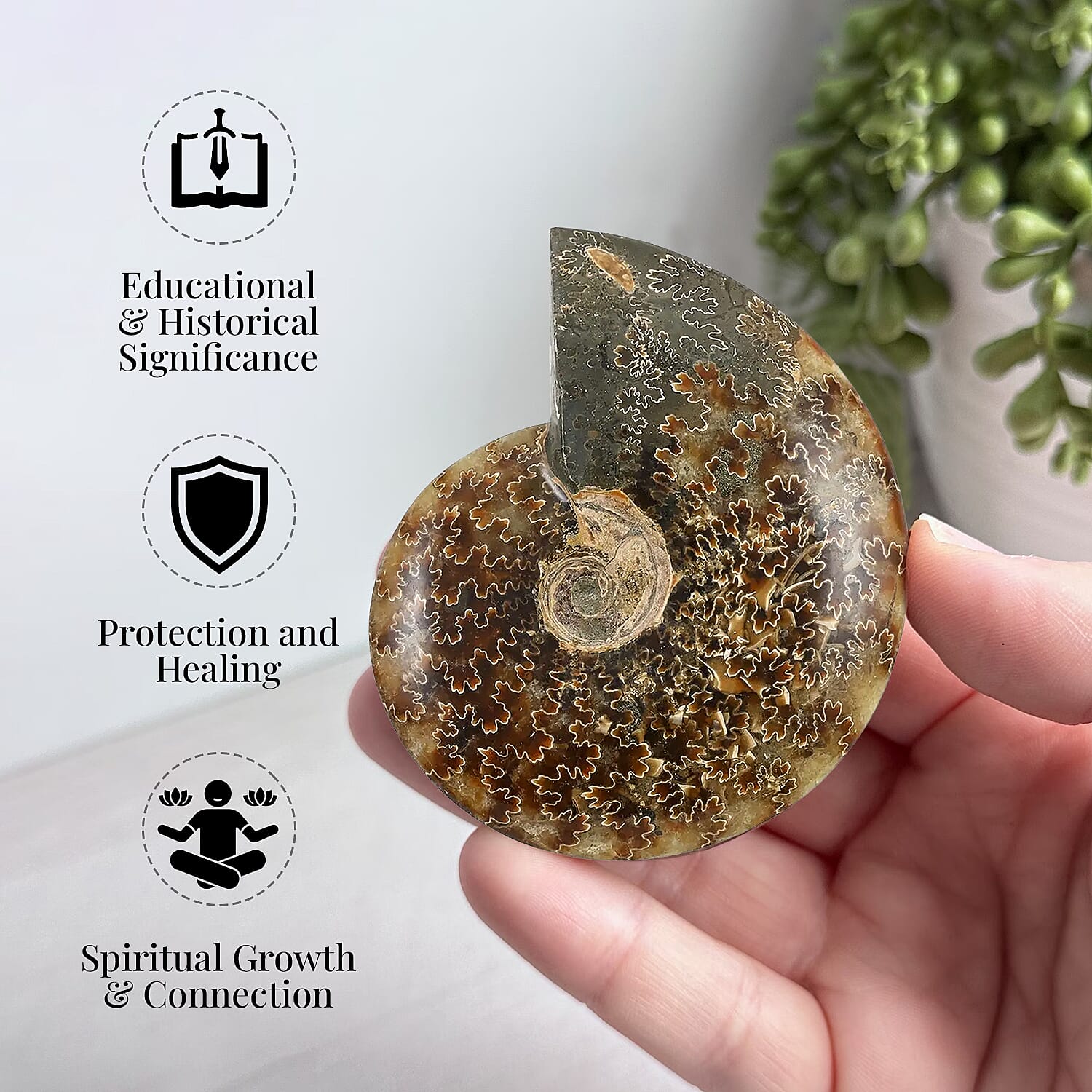 M - Product card gallery slide 2 (9431438360831)