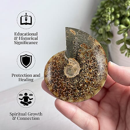M - Product card gallery slide 2 (10176791642425)