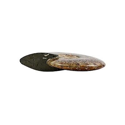 Whole Sutured Ammonite- M 4-5 Approx. 3010ctw